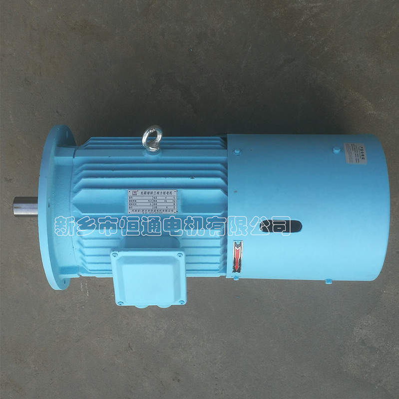 Long-term stall torque motor。